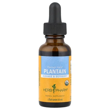 Plantain, 1 fl oz (30 ml)