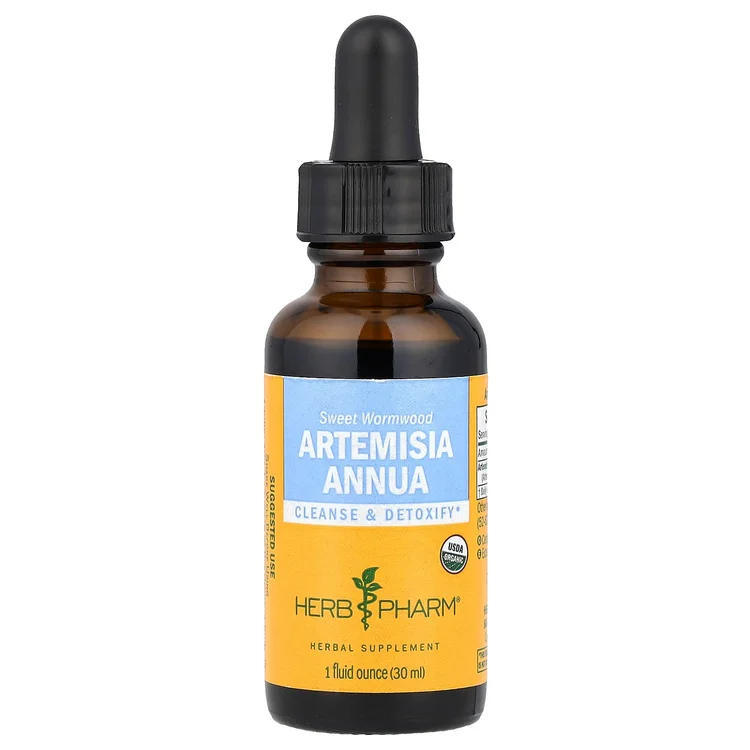 Artemisia Annua, 1 fl oz (30 ml) image 1