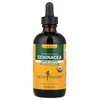 Echinacea, Alcohol-Free, 4 fl oz (120 ml)