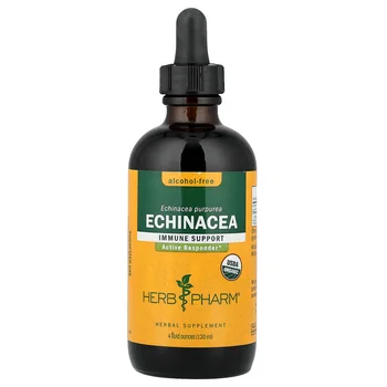 Echinacea, Alcohol-Free, 4 fl oz (120 ml)