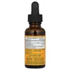 Asian Ginseng, Alcohol-Free, 1 fl oz (30 ml) image 2