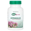 Herbal Actives, Astragalus, 450 mg, 60 Capsules image 1