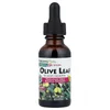 Herbal Actives, Olive Leaf, Alcohol Free, 1 fl oz (30 ml) image 1