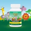 Animal Parade®, Tummy Zyme®, Tropical Fruit, 90 Animal-Shaped Tablets image 3