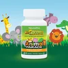 Animal Parade®, Kid Greenz®, Children's Chewable Green Food Dietary Supplement, Tropical Fruit, 90 Animal-Shaped Tablets image 3