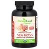 Certified Organic Sea Moss + Burdock & Bladderwrack, 90 Vegetable Capsules