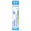Arnica Montana, 30C, Approx. 80 Pellets