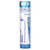 Arsenicum Album, 6C, Food Poisoning Relief, Approx 80 Pellets