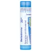 Belladonna, 30C, Fever Relief, Approx 80 Pellets