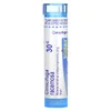 Cimicifuga Racemosa, 30C, Cramp Relief, Approx 80 Pellets