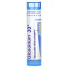 Glonoinum, 30C, Menopause, Approx 80 Pellets
