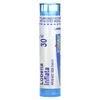 Lobelia Inflata, 30C, Nausea Relief, Approx 80 Pellets image 1