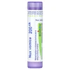 Nux Vomica, 200CK, Heartburn Relief, Approx 80 Pellets