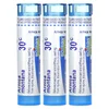 Arnica Montana, 30C, 3 Tubes, Approx. 80 Pellets Each image 3