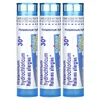 Histaminum Hydrochloricum 30C, 3 Tubes, 80 Meltaway Pellets Each image 3