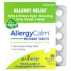 AllergyCalm, Allergy Relief, Unflavored, 60 Meltaway Tablets image 1