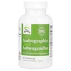 Andrographis and Ashwagandha, 60 Capsules image 3