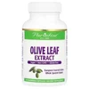 Olive Leaf Extract, 60 Vegetarian Capsules (250 mg per Capsule)