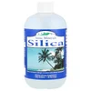 Ionic Minerals, Silica, 18 oz (533 ml) image 1
