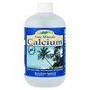 Ionic Minerals, Calcium, 18 oz (533 ml) image 1