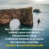Olde World® Icelandic Cod Liver Oil, Lemon Mint, 8 fl oz (236 ml) image 5