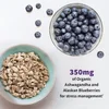 Dr. Formulated Probiotics, Mood+, 60 Vegetarian Capsules image 5