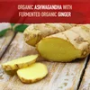 Organics, Ashwagandha, 60 Vegan Tablets (600 mg per Tablet) image 5