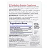 Berberine Phytosome, 60 Capsules (275 mg per Capsule) image 2