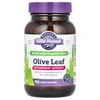 Olive Leaf, 90 Vegan Capsules image 1