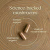 Immune Support, Reishi & Shiitake Mushroom Blend, 120 Vegan Capsules image 5