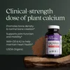 Bone Strength Take Care™, 120 Vegetarian Slim Tablets image 5