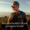 Blood Pressure Balance, Grape Seed Blend, 60 Vegan Capsules image 4
