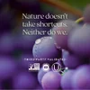 Blood Pressure Balance, Grape Seed Blend, 60 Vegan Capsules image 7