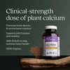 Plant Calcium, Bone Strength, Take Care, 240 Vegetarian Tiny Tablets image 5