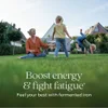 Fermented Iron Complex, 60 Vegetarian Tablets image 4