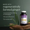 Ginger Force™, 60 Vegetarian Capsules image 5