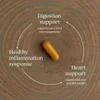 Ginger Force™, 60 Vegetarian Capsules image 6