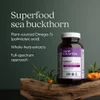 Omega-7 Sea Buckthorn Blend, 60 Vegetarian Capsules image 5