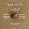 Fermented Coenzyme B Complex, 90 Vegetarian Tablets image 6