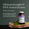 All-Flora™ Probiotic, 10 Billion CFU, 60 Vegan Capsules image 5