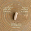 Daily Dual Biotic, Probiotic + Prebiotic, 60 Vegan Capsules image 5