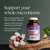 Daily Dual Biotic, Probiotic + Prebiotic, 60 Vegan Capsules image 6