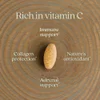 Fermented Vitamin C, 60 Vegan Tablets image 5