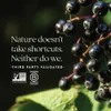 Elderberry Syrup + Honey , 4 fl oz (118 ml) image 7
