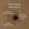 Kids, Organic Elderberry Whole-Food Gummies, Ages 2+, 30 Vegan Gummies image 5