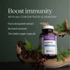 Elderberry Force™, 60 Vegan Capsules image 6