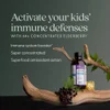 Kids, Elderberry Syrup + Honey, Ages 2+, 4 fl oz (118 ml) image 5