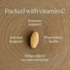 Immune Defense, Vitamin C + Elderberry, 30 Vegetarian Tablets image 6
