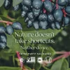 Fermented Zinc Complex, 90 Vegetarian Tablets image 7
