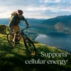 Cellular Energy Vitamin B12+ With Organic Fiber Gummies, Raspberry, 60 Flavored Gummies image 3